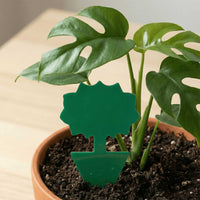 Attrape-thrips pour plantes d'intérieur - Jungle Feed