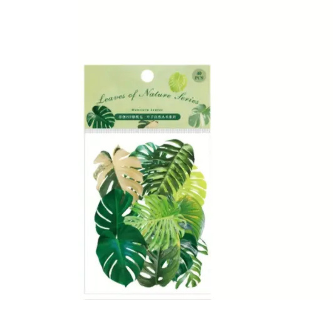 Un paquet d'autocollants ou de découpes de papier en forme de feuilles de Monstera et de plantes tropicales, avec une feuille dorée. L'emballage est étiqueté "Leaves of Nature Series"