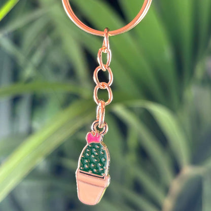 Juego de 3 llaveros metálicos de cactus