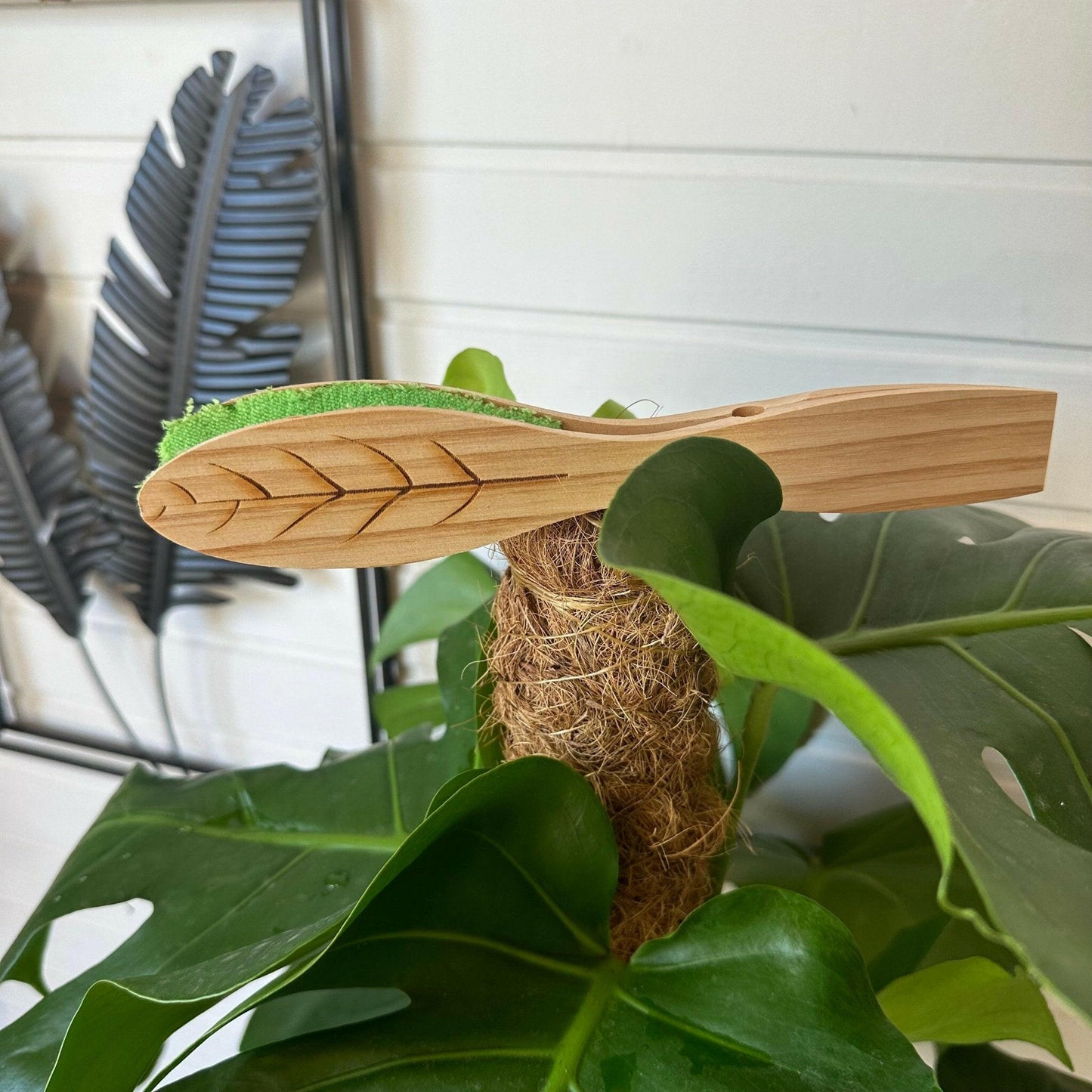 Brosse de Nettoyage pour Feuilles - Entretien Naturel des Plantes | Jungle Feed - Jungle Feed