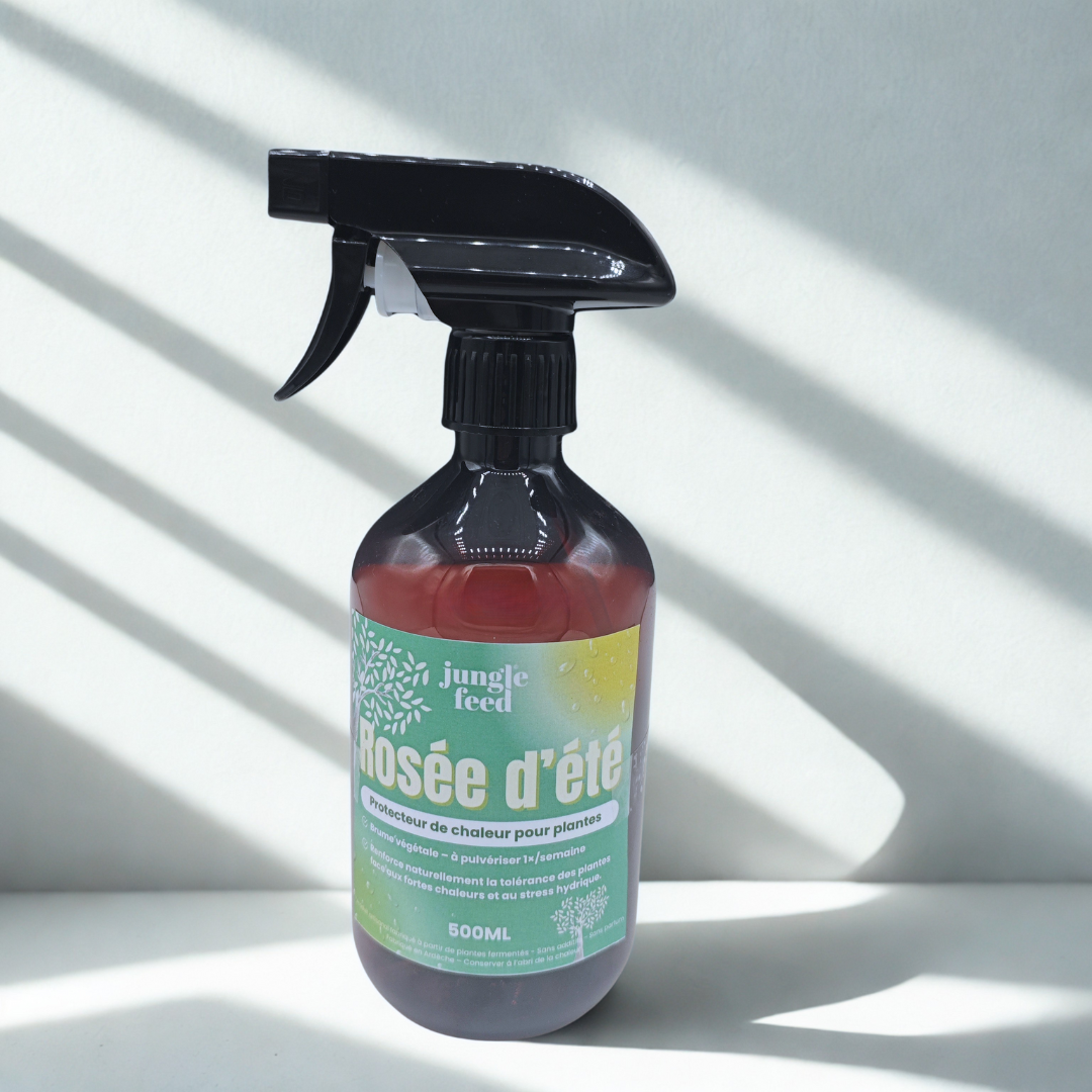  Un flacon pulvérisateur brun de la marque "jungle feed" contenant un produit appelé "Rosée d'été", posé sur une surface blanche avec un fond gris clair et des ombres.