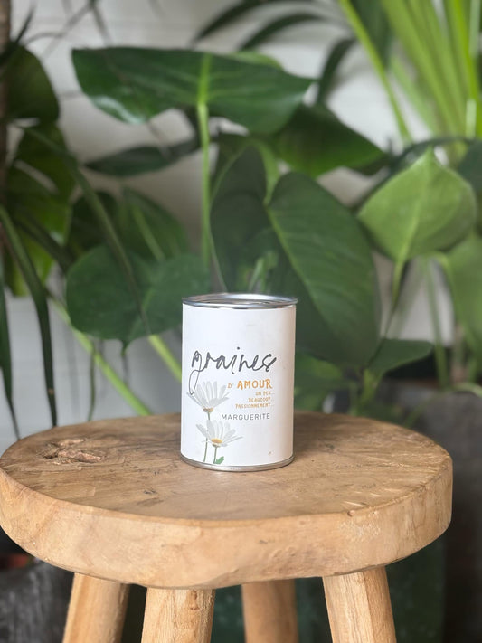 Kit de cultivo de semillas