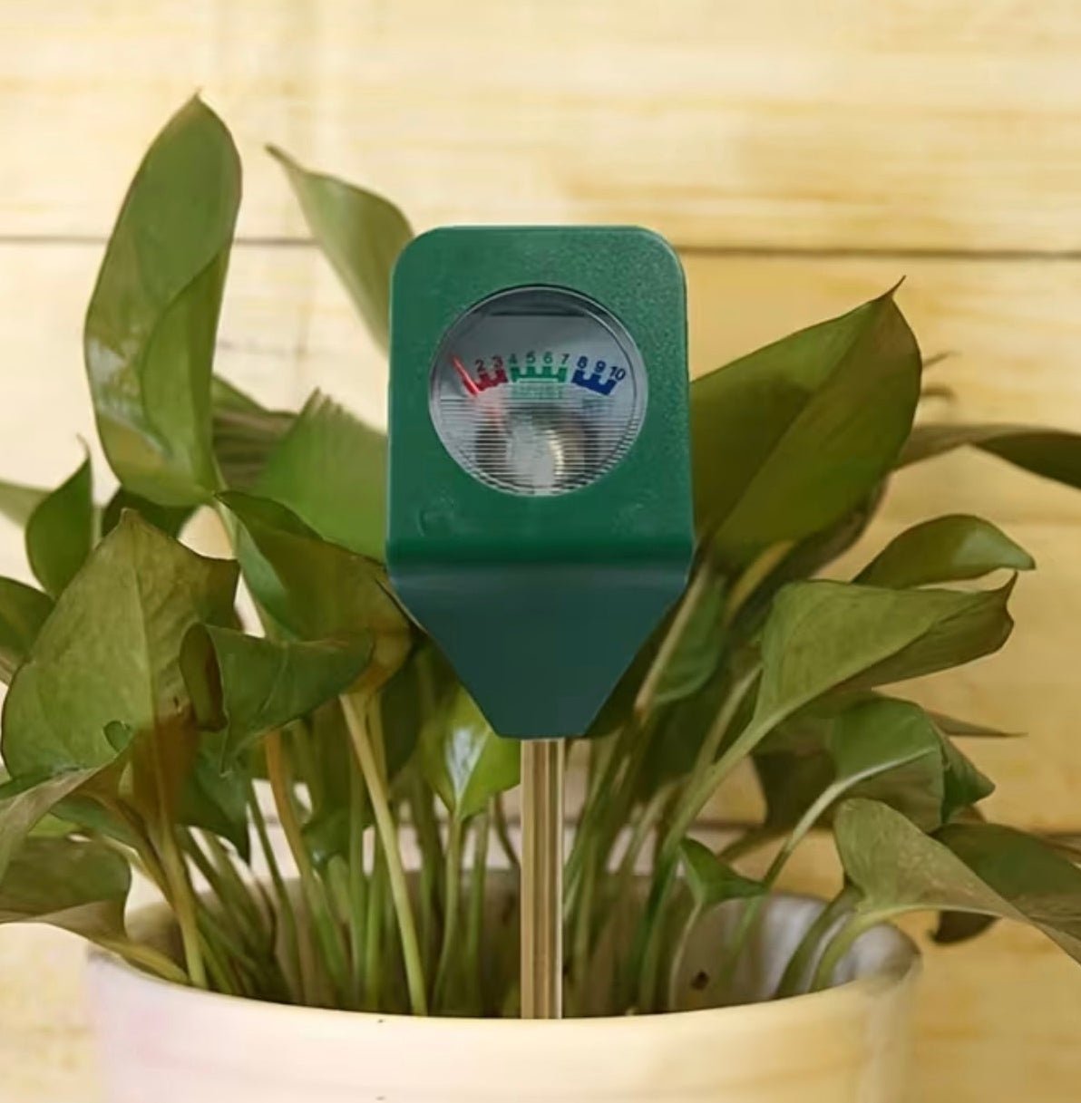 Capteur d'humidité - Hydromètre - pot max ⌀20cm - Jungle Feed