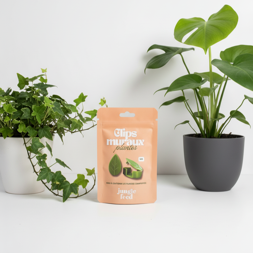 Wandklammern für Kletterpflanzen