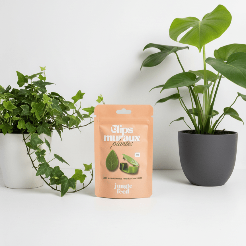 Clips muraux pour plantes grimpantes - Jungle Feed