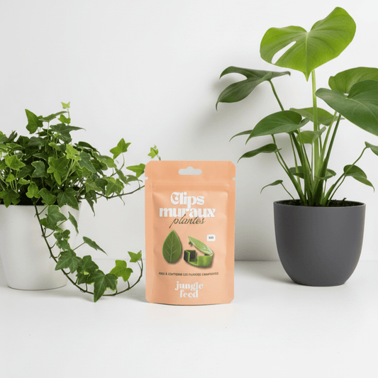 Clips Muraux pour Plantes Grimpantes - Jungle Feed
