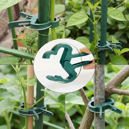 Quatre vignettes montrent des clips de support en plastique vert, en forme de papillon, utilisés pour attacher les tiges de plantes à des tuteurs de jardin. Au centre, un gros plan d'une main tenant un clip ouvert.