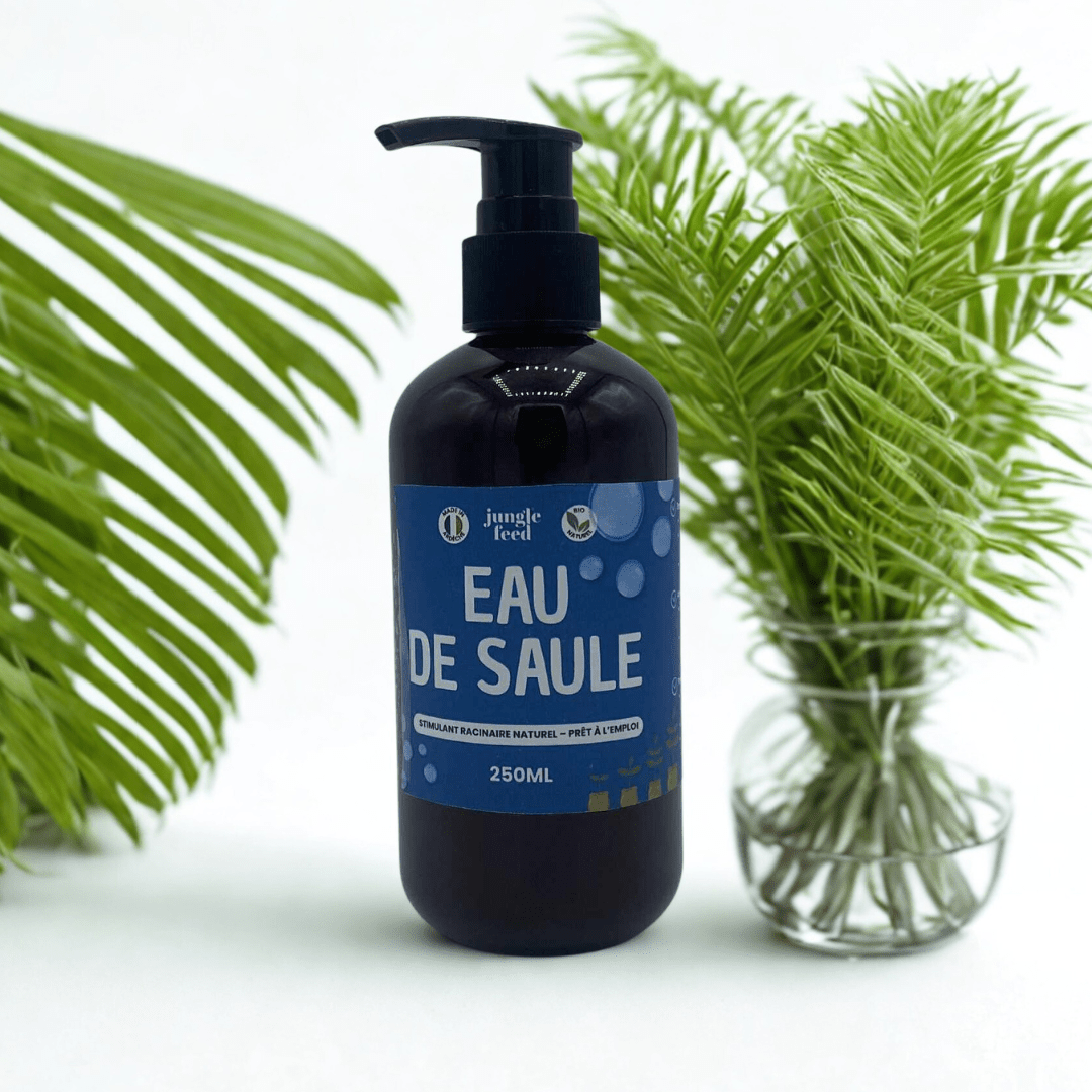 Eau de Saule Pure & Naturelle - Accélérateur de Bouturage et d'Enracinement - Jungle Feed