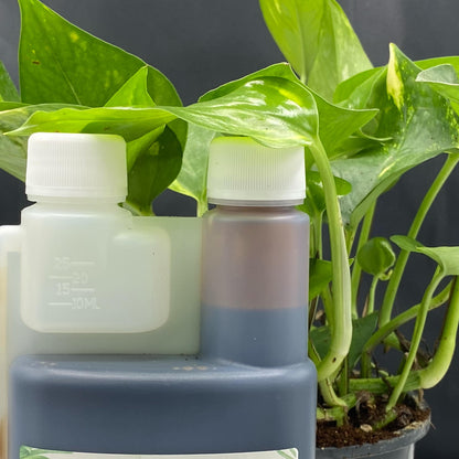 Flacon de 500ml d'engrais liquide Jungle Feed pour plantes d'intérieur et espèces rares. Ce stimulant biologique assure une croissance optimale et un feuillage dense et sain.