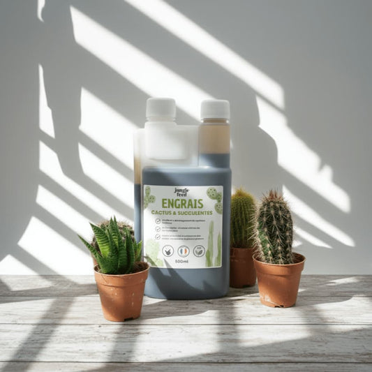Engrais Cactus & Succulentes 500ml - Plantes Grasses | Jungle Feed - Jungle Feed