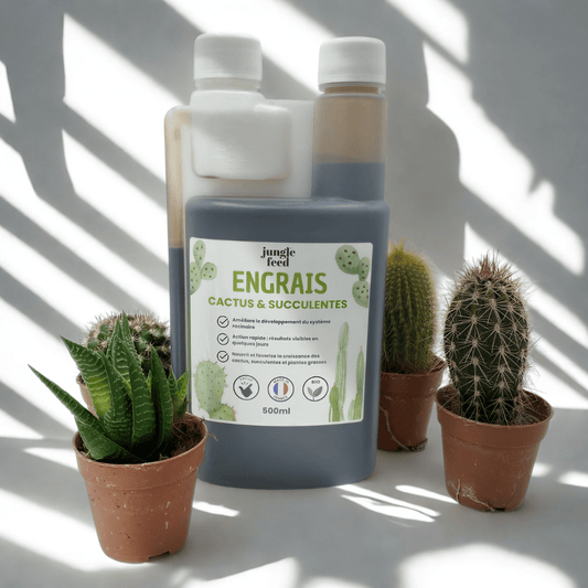 Engrais Cactus & Succulentes 500ml - Plantes Grasses | Jungle Feed - Jungle Feed