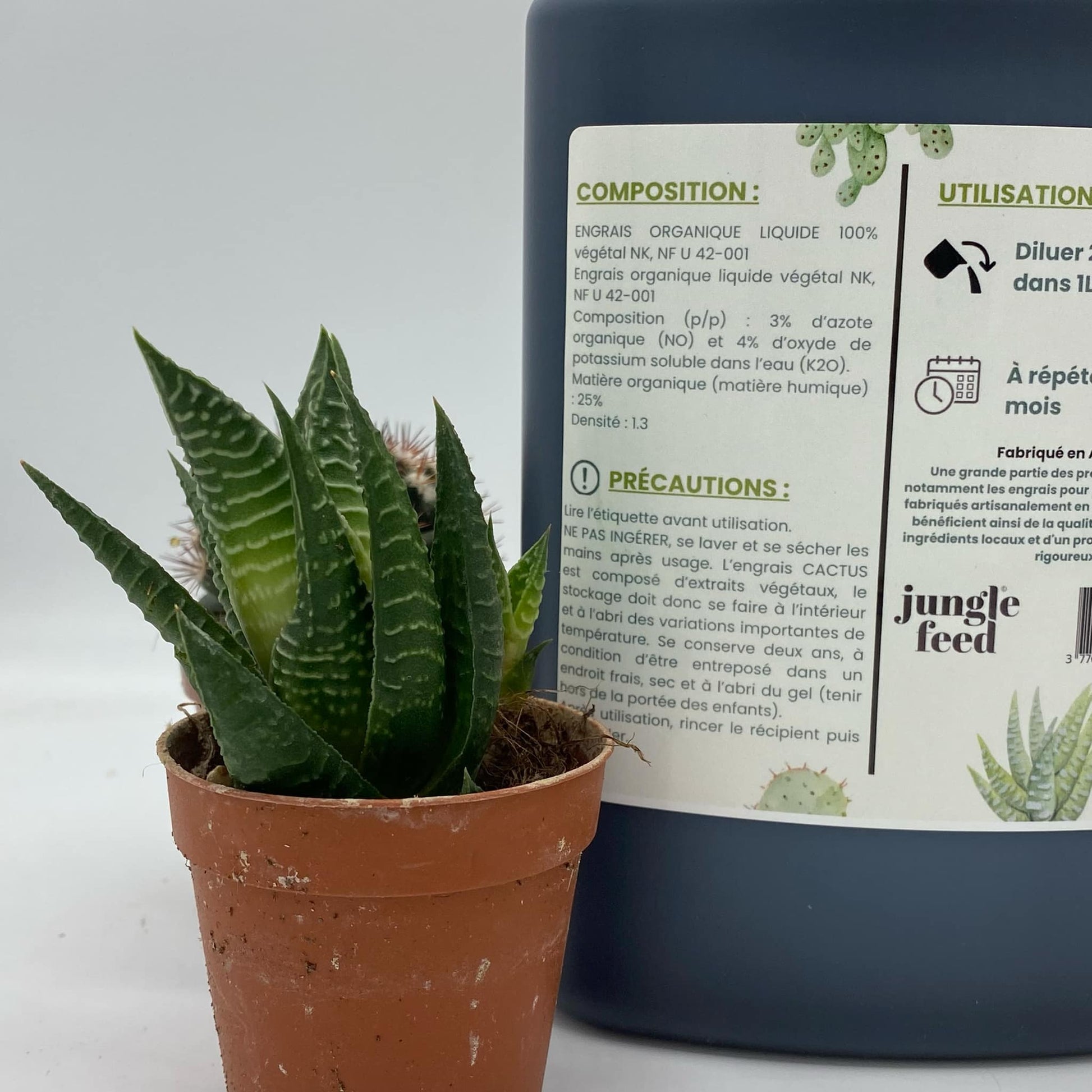 Engrais Cactus & Succulentes 500ml - Plantes Grasses | Jungle Feed - Jungle Feed