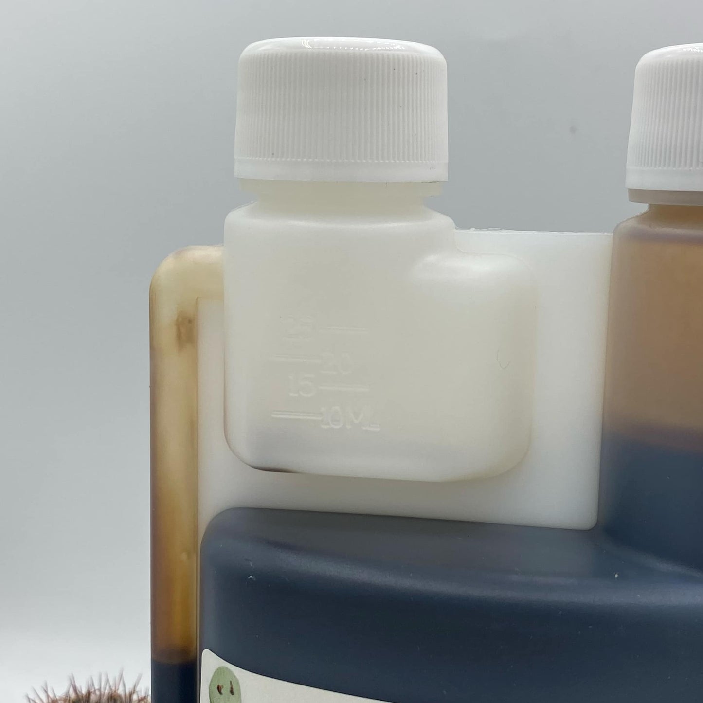 Engrais Cactus & Succulentes 500ml - Plantes Grasses | Jungle Feed - Jungle Feed