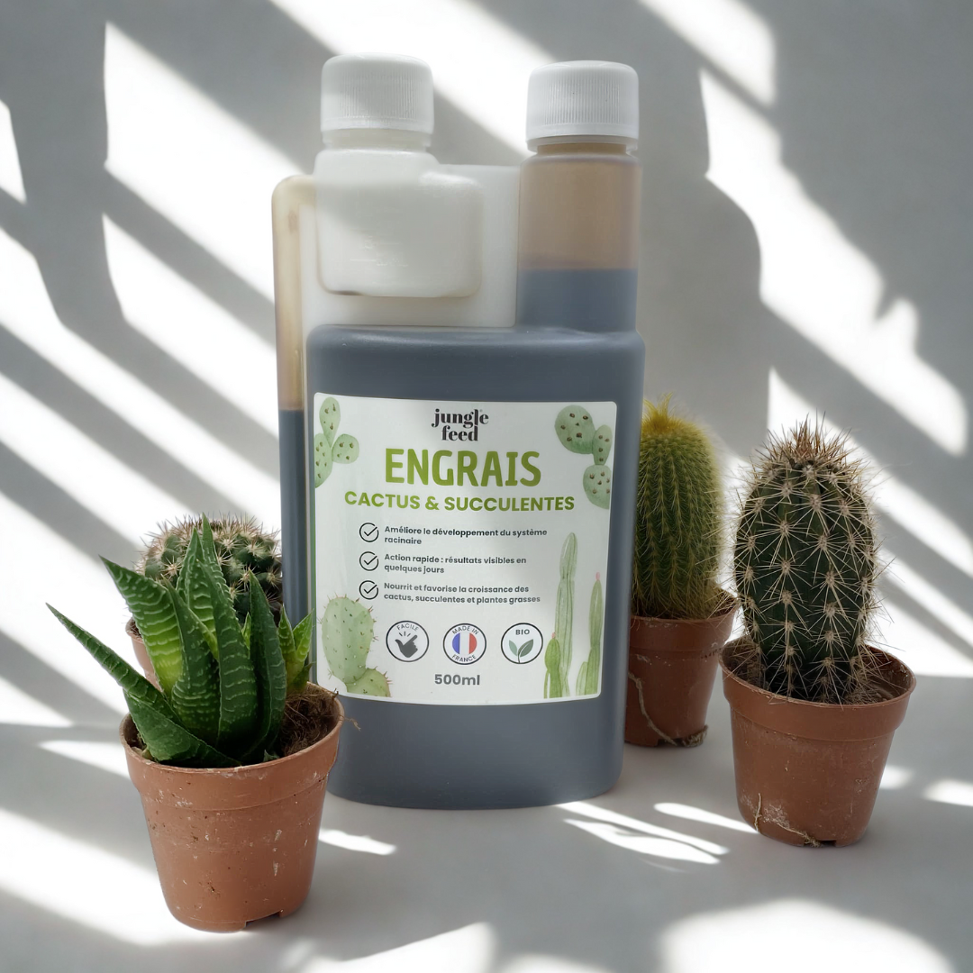 Bouteille d'engrais liquide pour cactus et plantes grasses de 500 ml. Le produit est mis en scène à côté de diverses succulentes en pot, illustrant son usage spécifique.