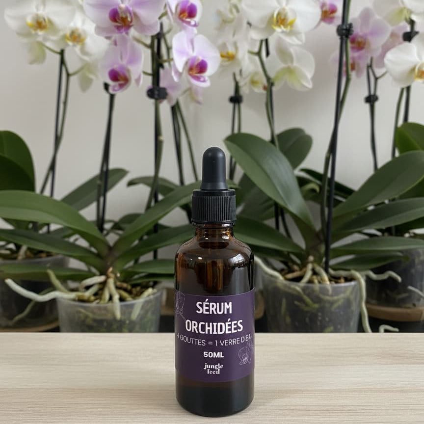 Engrais Nourrissant Orchidées 50ml - Formule Concentrée | Jungle Feed - Jungle Feed