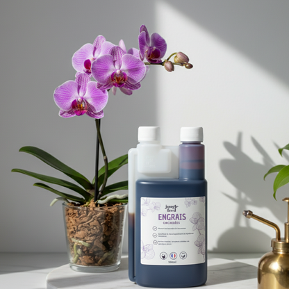 Bouteille de 500 ml d'engrais liquide pour orchidées, conçue pour favoriser la floraison et la croissance. Le produit est placé à côté d'une magnifique orchidée en pleine fleur.