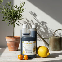 Engrais Plantes Méditerranéennes 500ml - Agrumes, Oliviers, Palmiers | Jungle Feed - Jungle Feed