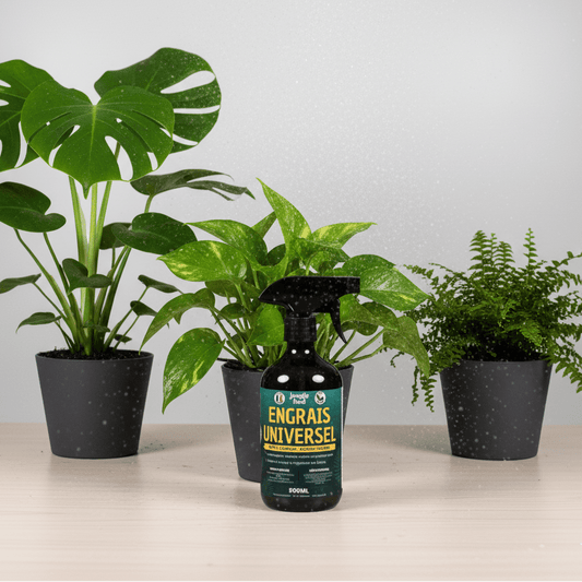 Engrais Universel Bio | Prêt à l'Emploi | Action Foliaire Rapide - Jungle Feed