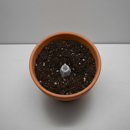 Vue de dessus du filtre de fond de pot de fleurs installé, prêt à être recouvert de terreau.