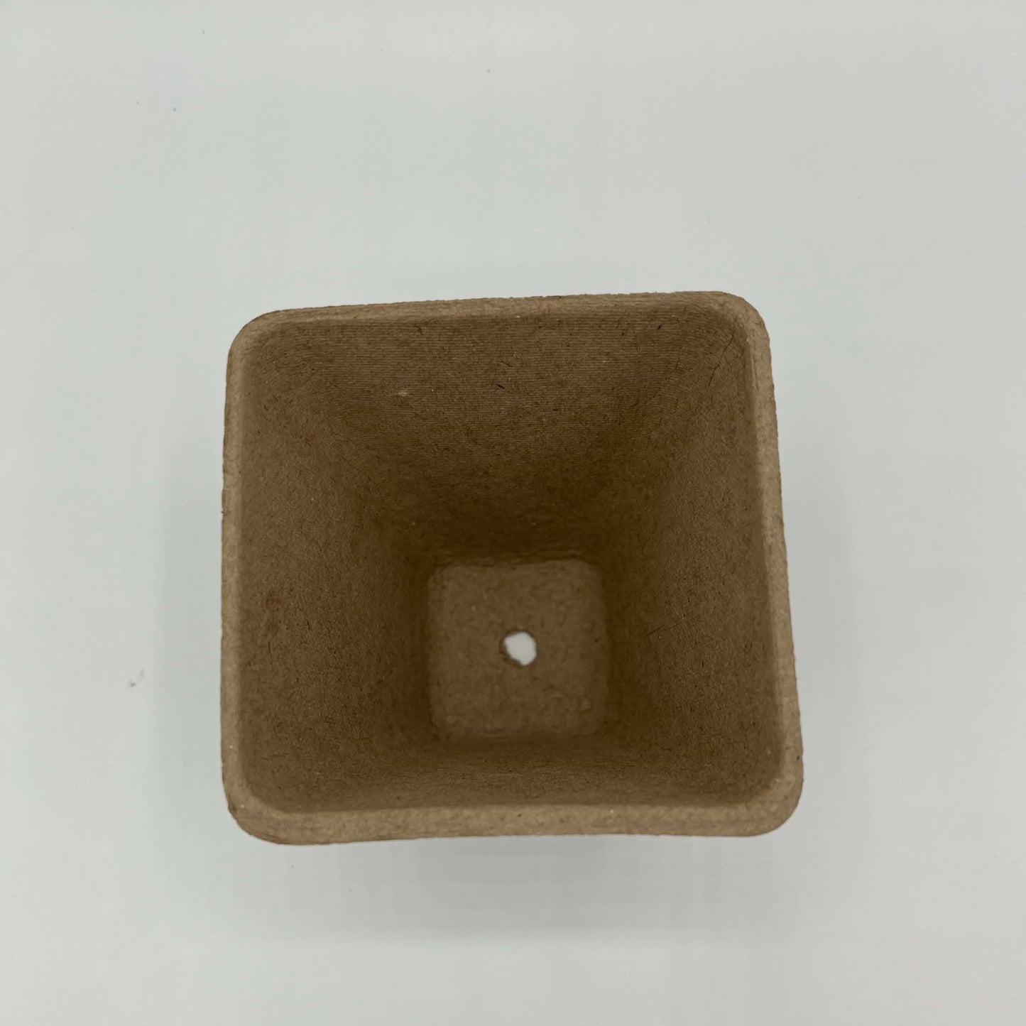 fond du petit pot biodégradable