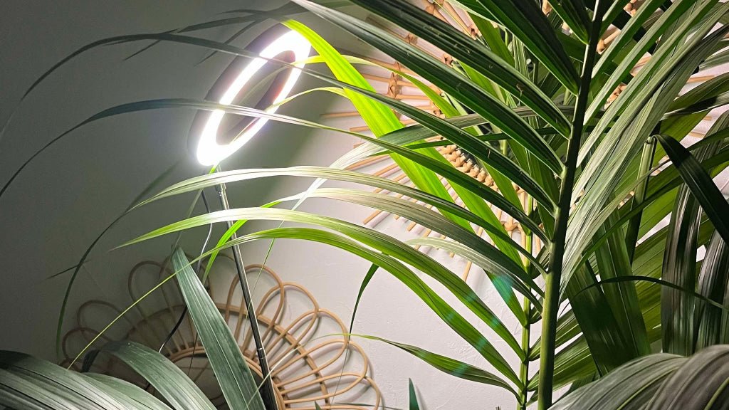 Grande lampe LED croissance 155cm sur pied - Jungle Feed
