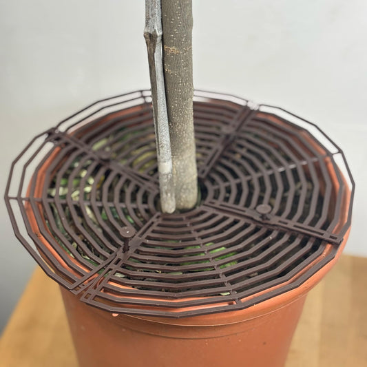 Grille de protection pour plantes – anti - grattage pour animaux - Jungle Feed