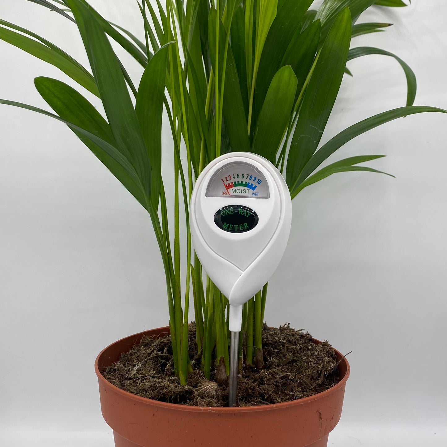 Gros plan sur l'écran du testeur d'humidité One-Way Meter blanc, inséré dans le sol d'une plante d'intérieur. L'indicateur montre l'échelle de sec (DRY) à humide (WET).