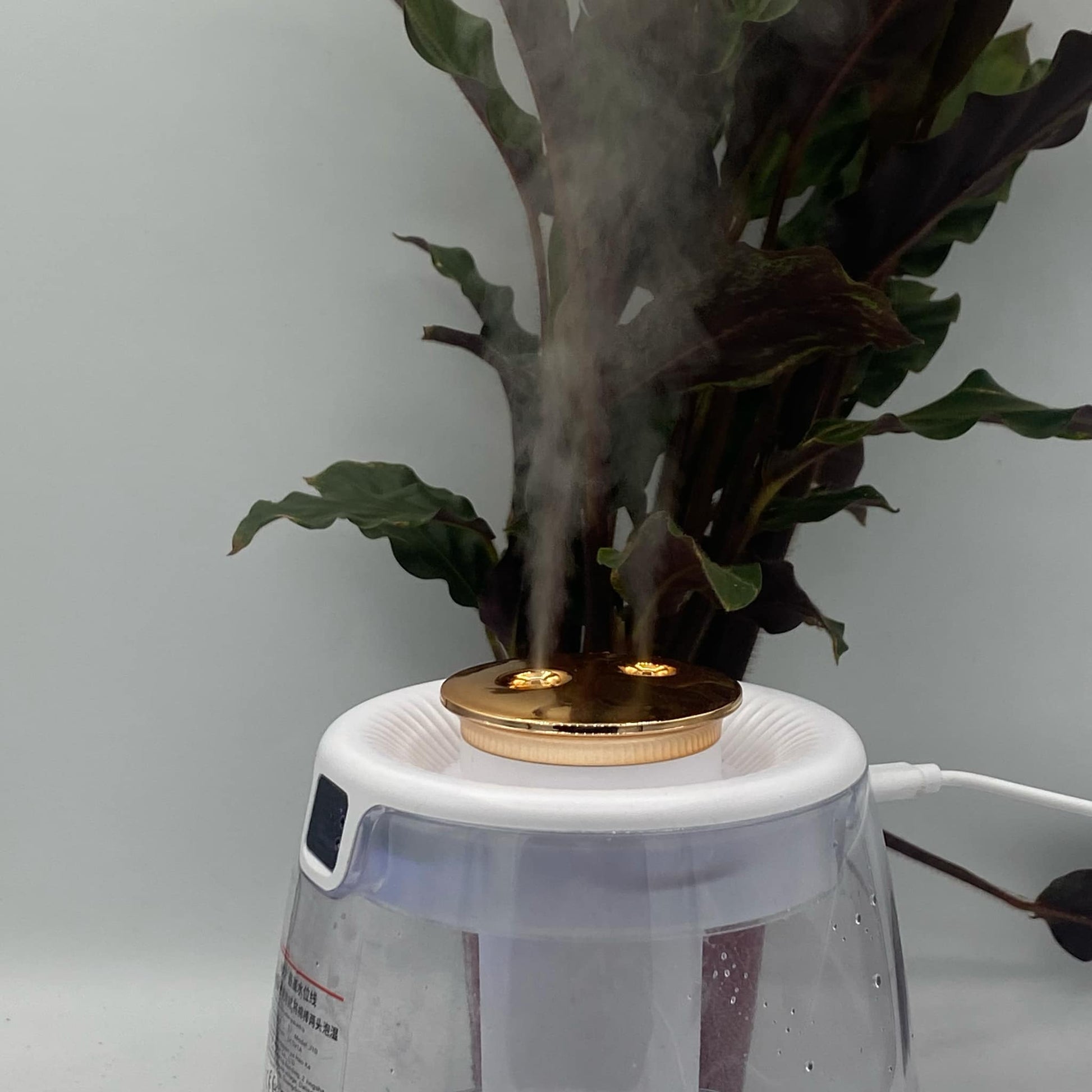 Humidificateur pour plantes 1,5L - Jungle Feed