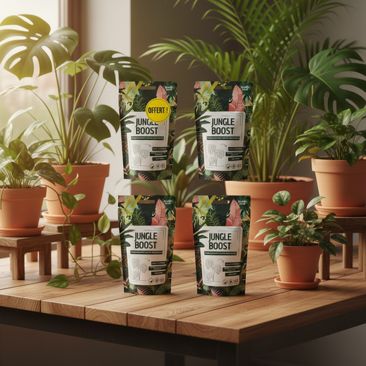 Jungle Boost 3+1 - Mise en scène