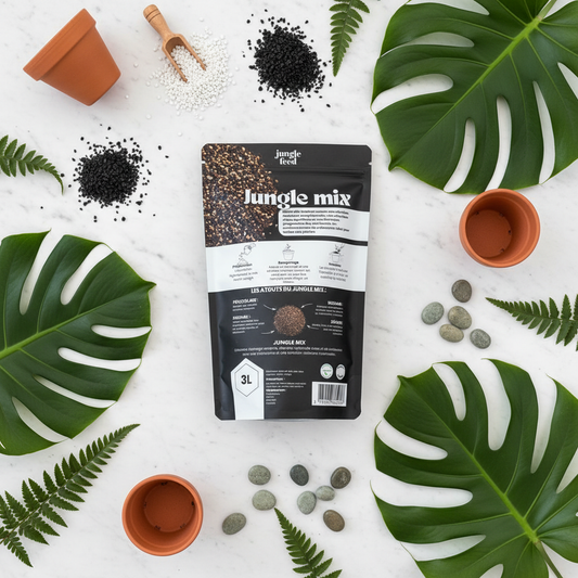 Jungle Mix – Flat Lay