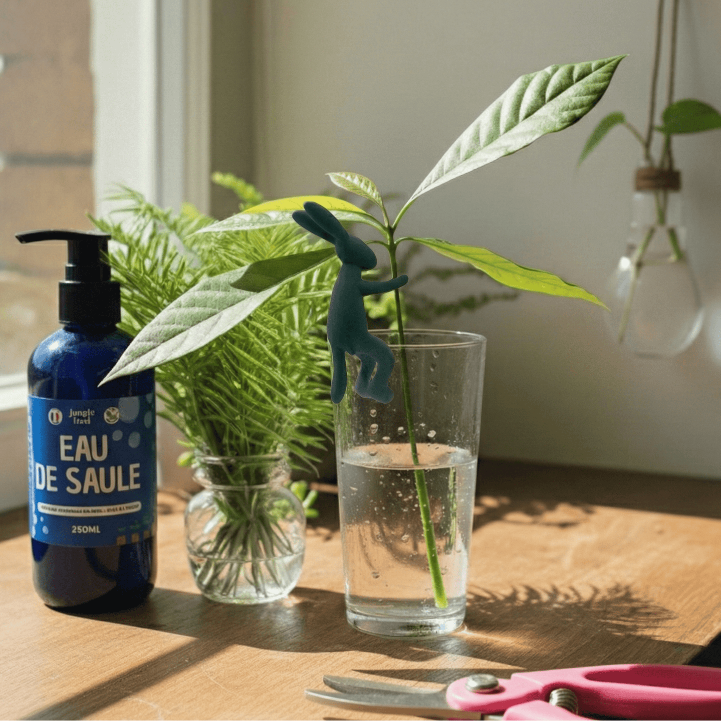 Kit Bouturage Complet : Cisaille, Eau de Saule & Vases Déco | Jungle Feed - Jungle Feed