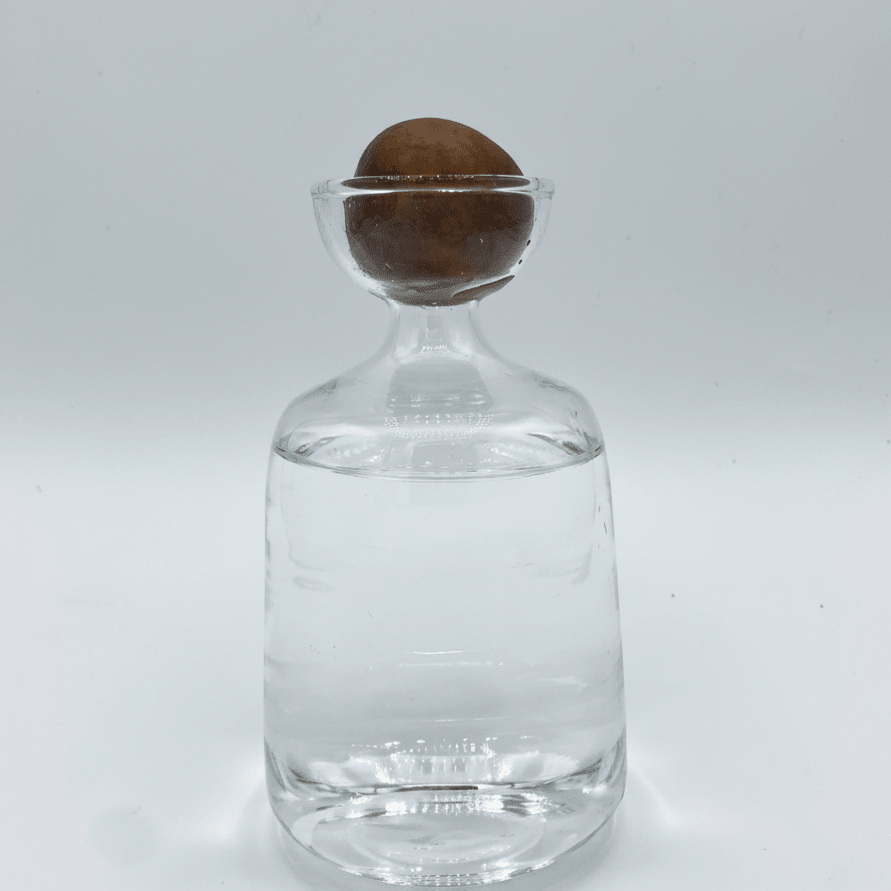 Kit de Germination d'Avocat : Élégance et Simplicité pour Cultiver Votre Avocatier - Jungle Feed