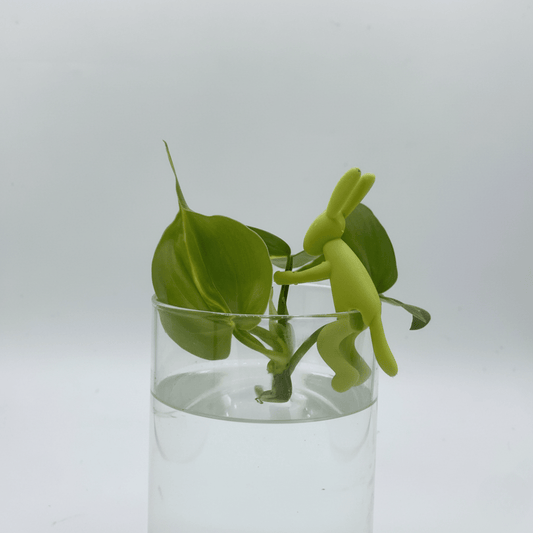 Lapin Porte - Bouture - L'Accessoire Original Pour Vos Plantes - Jungle Feed