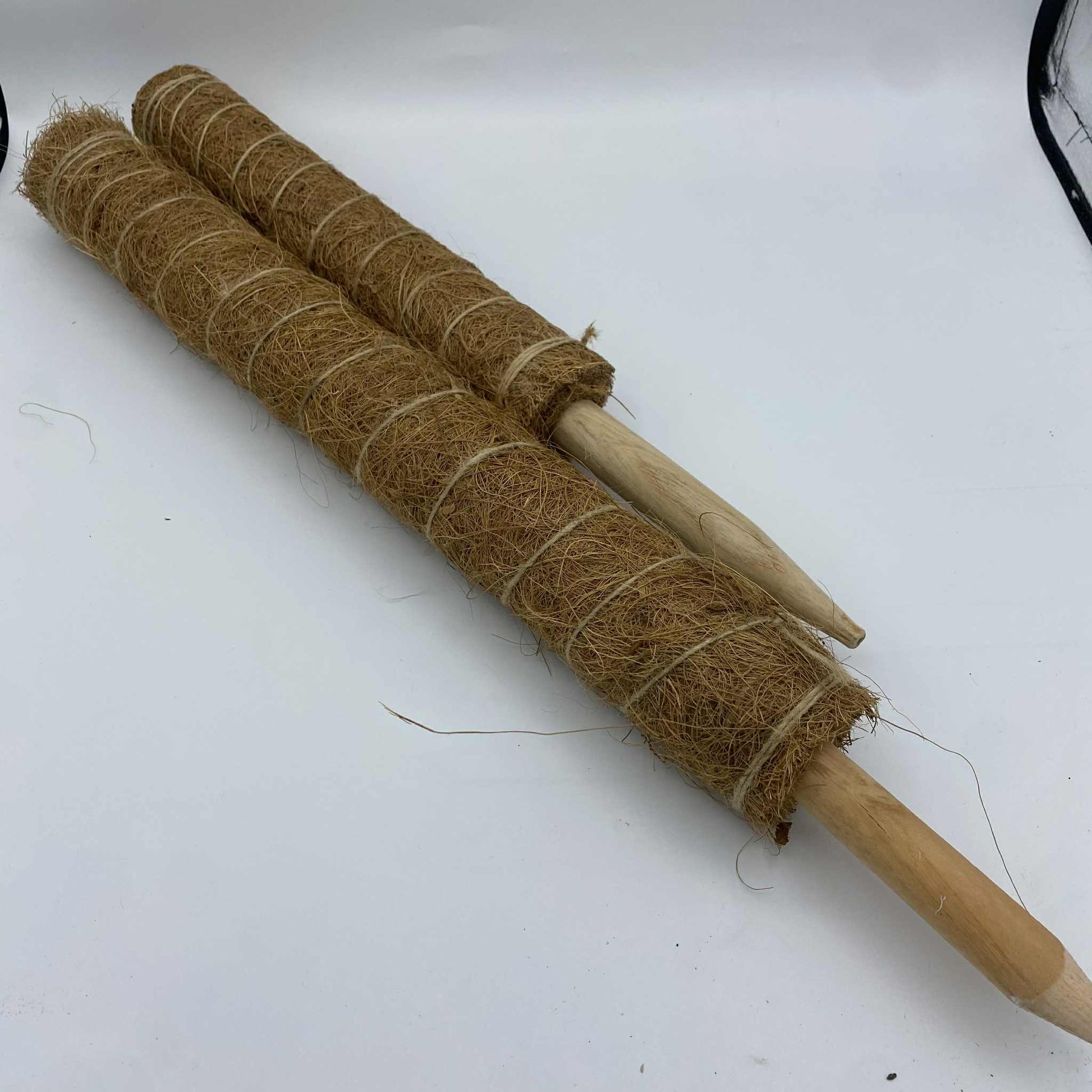  Deux tuteurs de plantes en fibre de coco avec une base en bois pointue, posés sur un fond blanc.