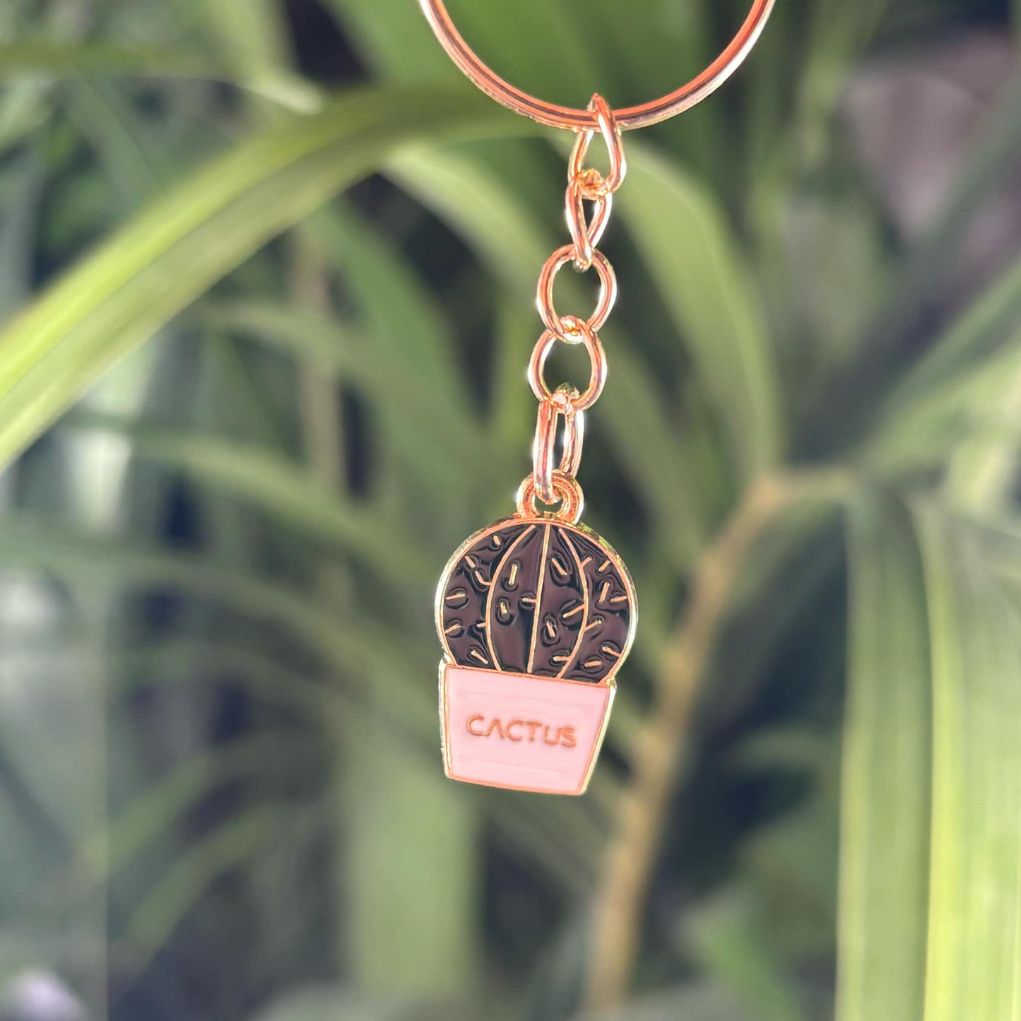 Lot de 3 de porte - clés cactus métal - Jungle Feed