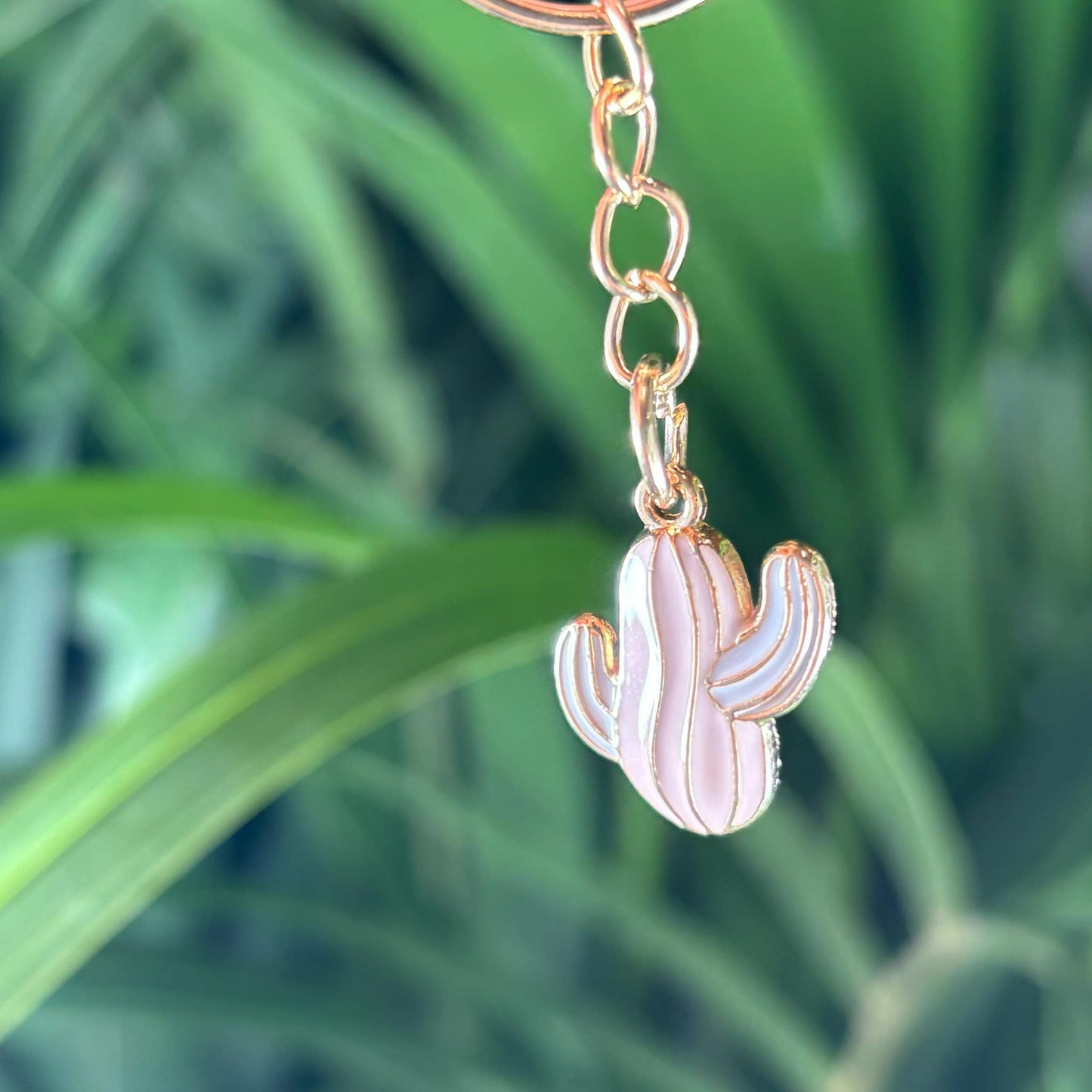 Lot de 3 de porte - clés cactus métal - Jungle Feed