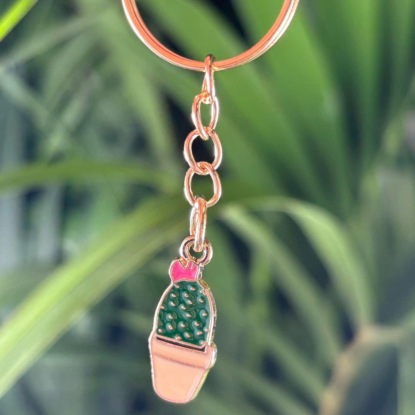 Lot de 3 de porte - clés cactus métal - Jungle Feed