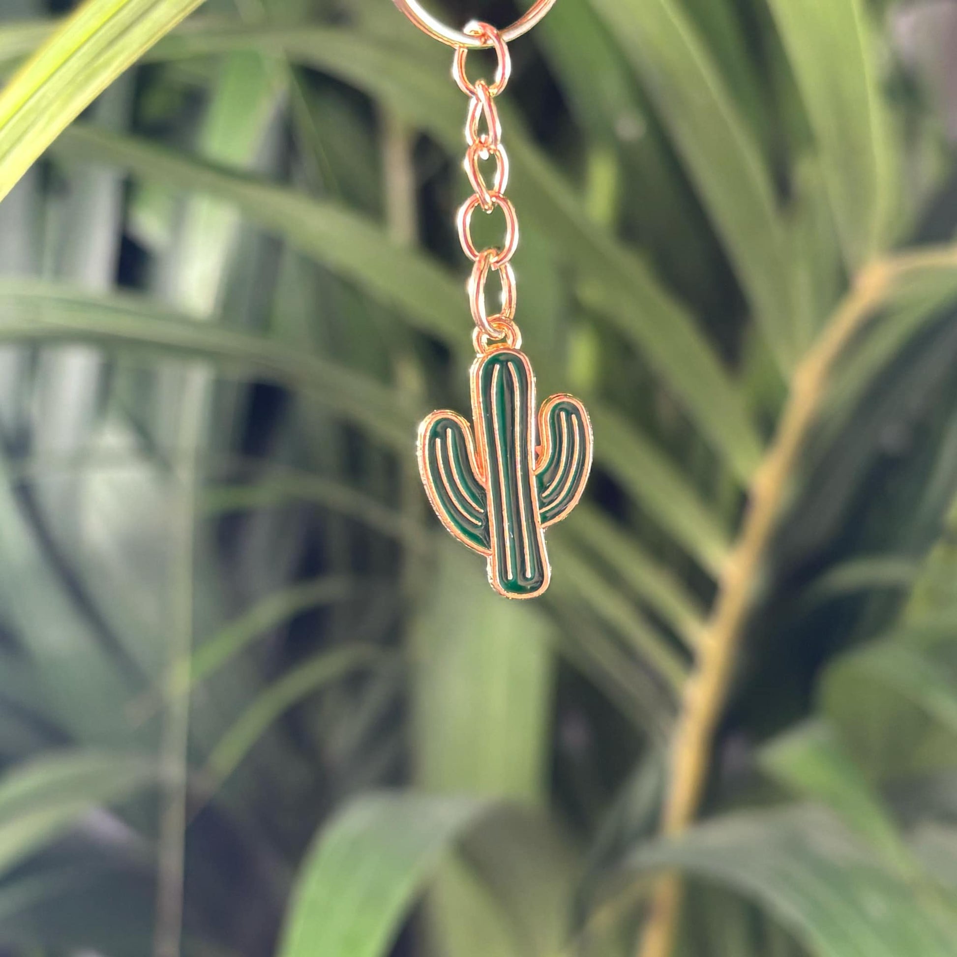 Lot de 3 de porte - clés cactus métal - Jungle Feed