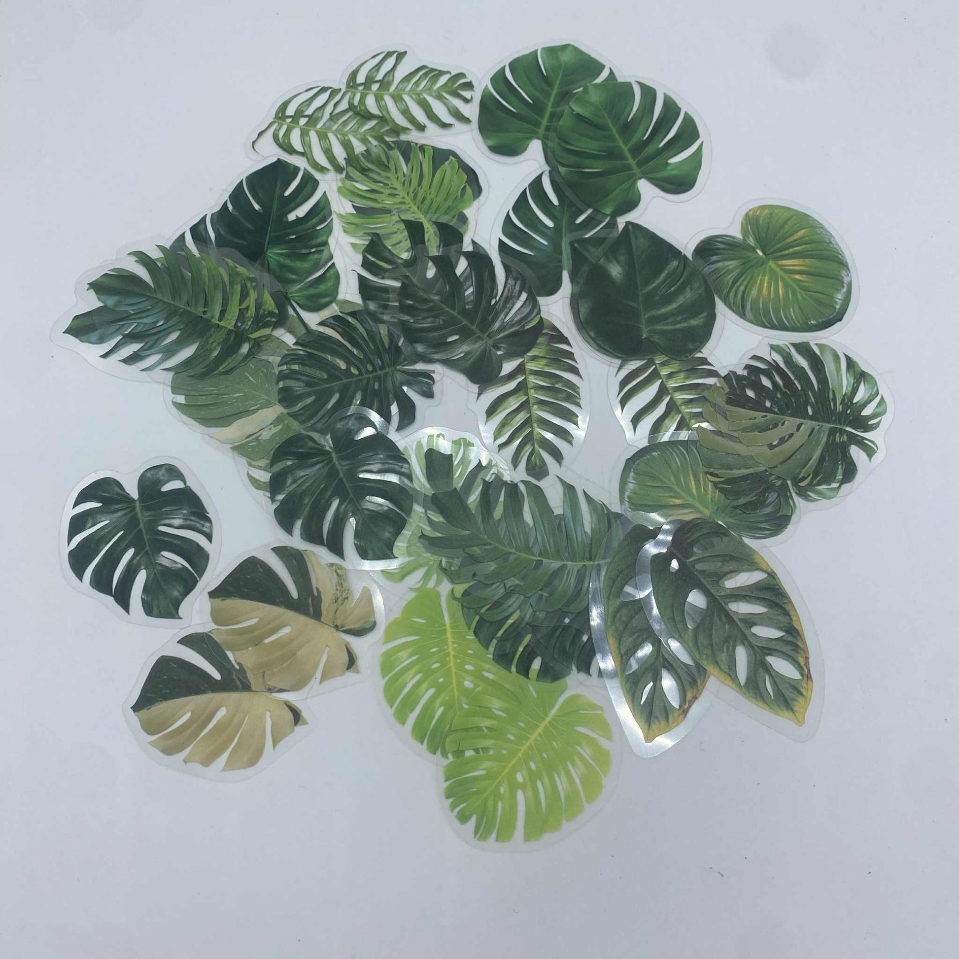 Lot de 40 stickers plantes - Jungle Feed