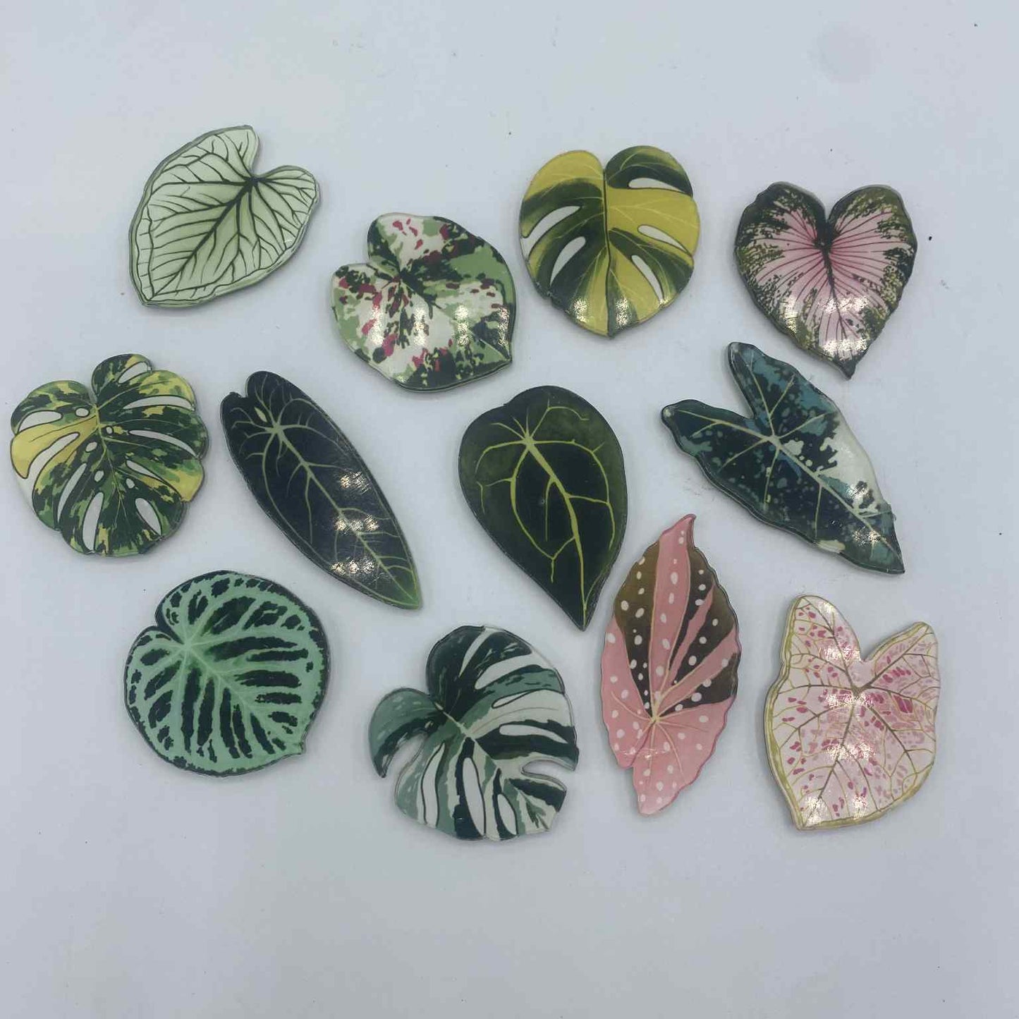 Collection de magnets pour réfrigérateur en forme de feuilles de plantes d'intérieur populaires, comme la Monstera Deliciosa et le Caladium.