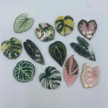 Collection de magnets pour réfrigérateur en forme de feuilles de plantes d'intérieur populaires, comme la Monstera Deliciosa et le Caladium.