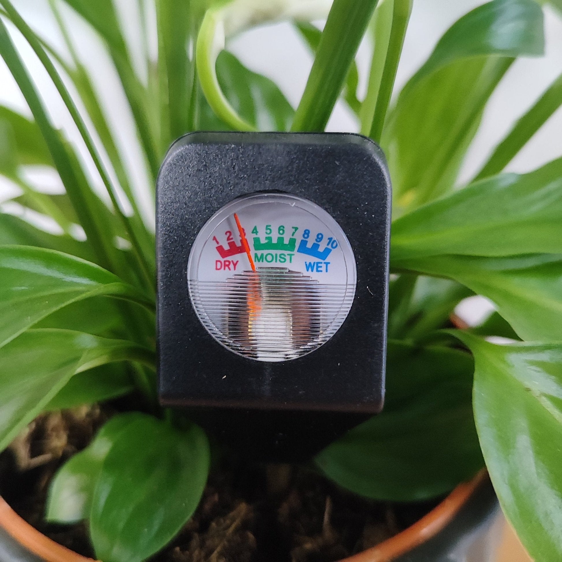 Mini - Hydromètre de Sol - Jungle Feed