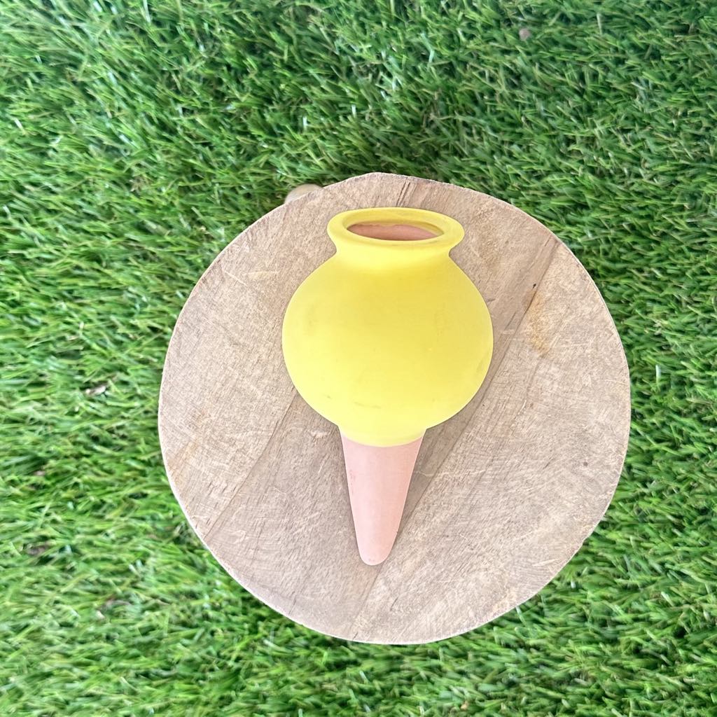 Ollas en céramique colorées pour irrigation - Jungle Feed