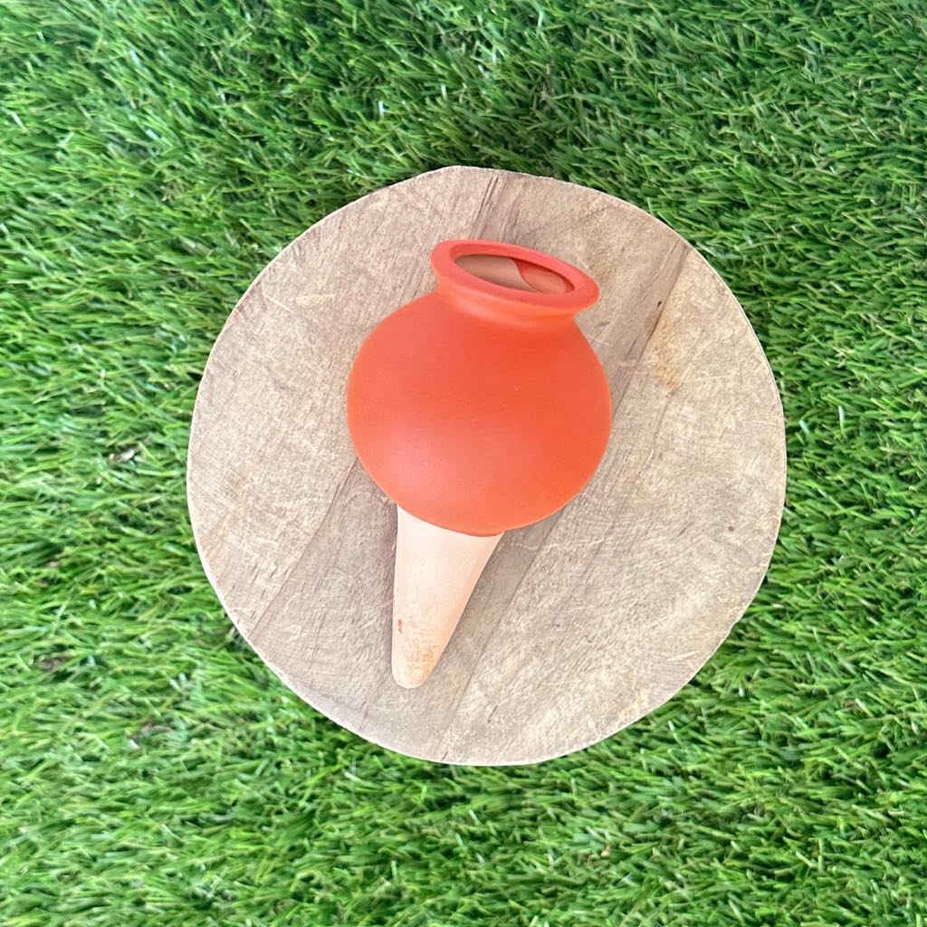 Ollas en céramique colorées pour irrigation - Jungle Feed