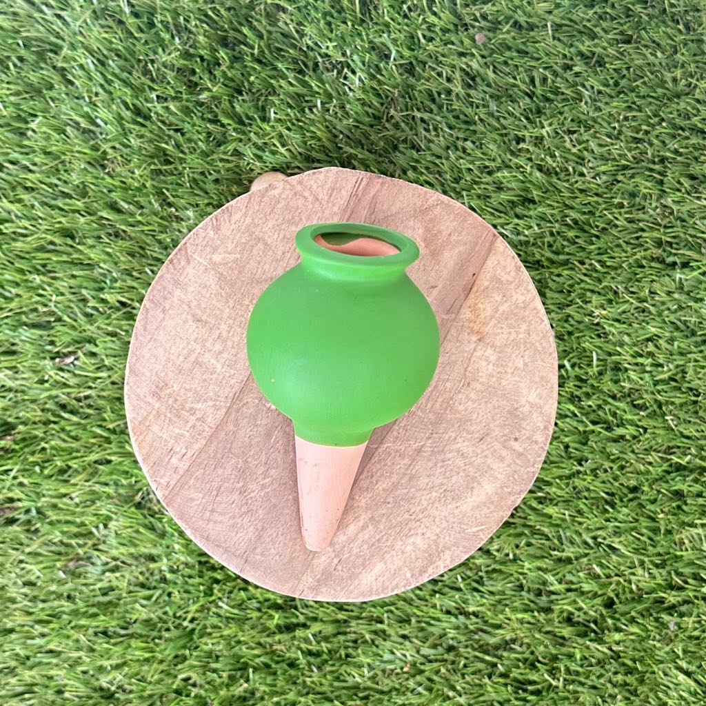 Ollas en céramique colorées pour irrigation - Jungle Feed