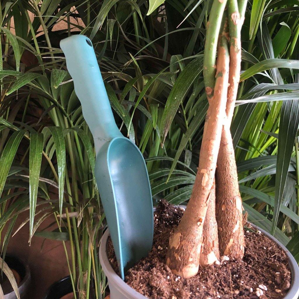 Pelle de rempotage et transplantation robuste pour plantes d'intérieur - Jungle Feed