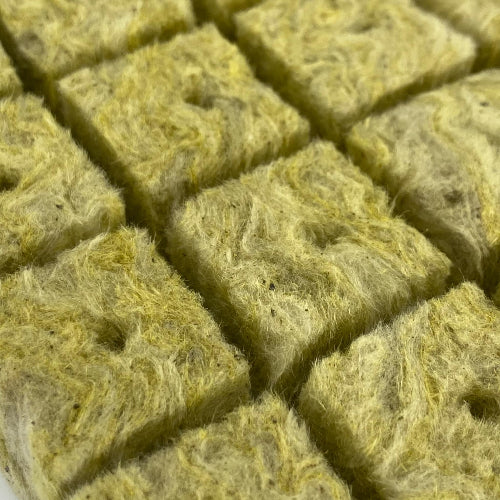 plaque de laine de roche pour semis gros plan