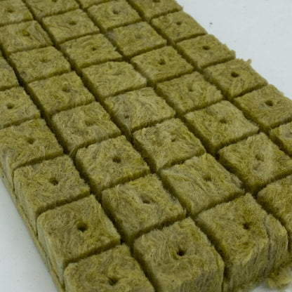 plaque semis avec un zoom