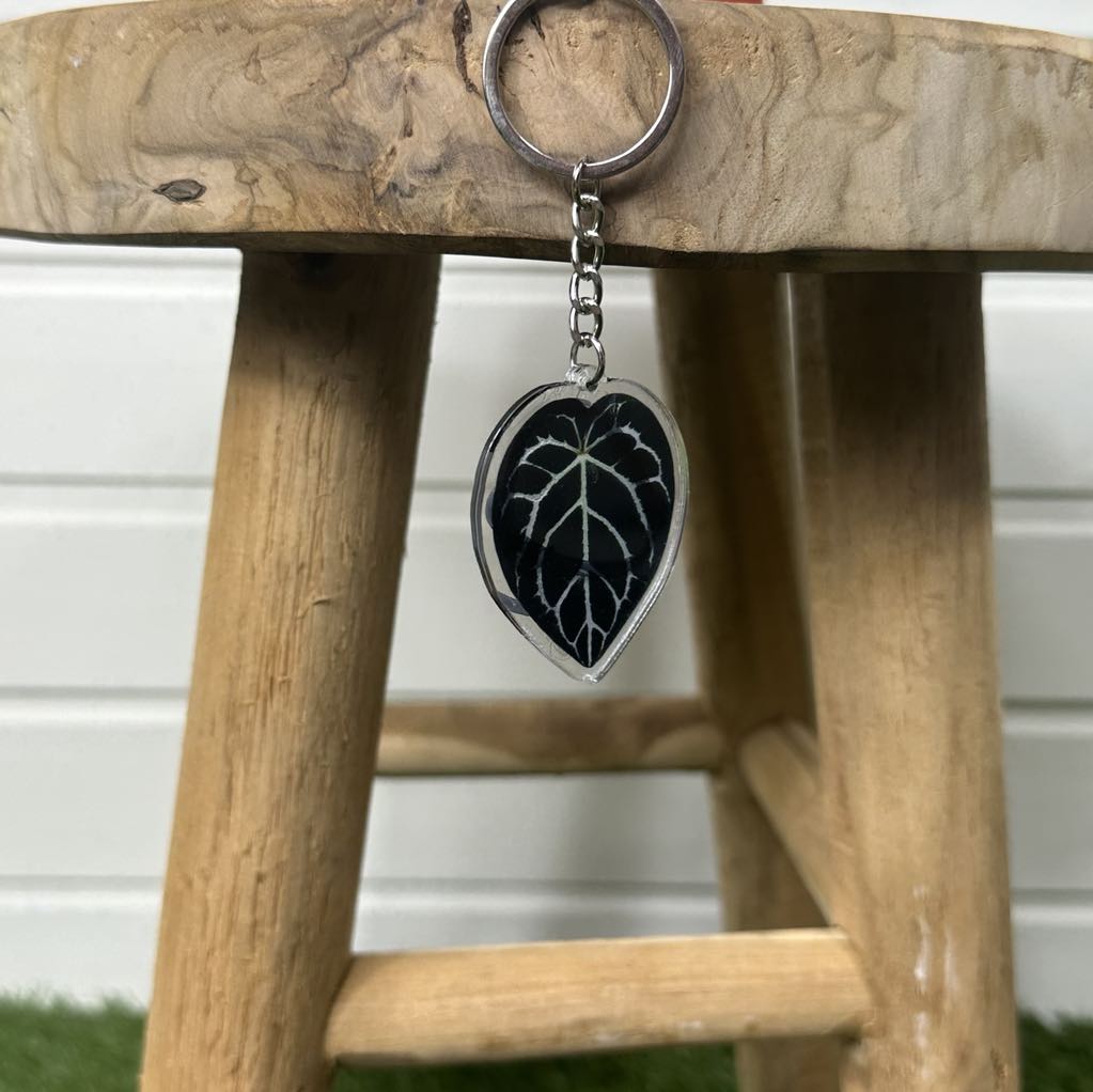 Porte - clés feuille de plante en acrylique - colorés et élégants - Jungle Feed