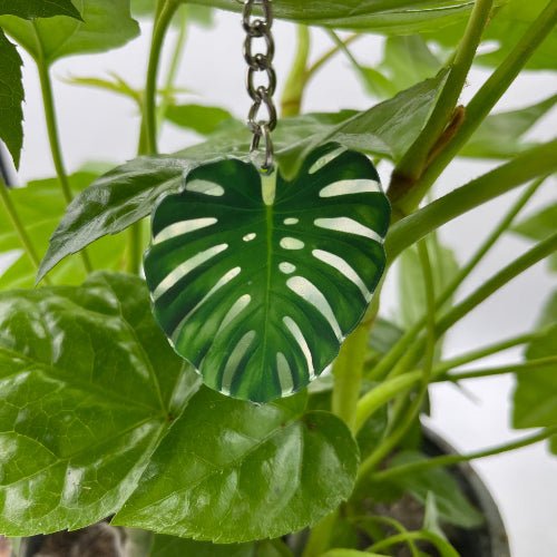 Porte - clés feuille de plante en acrylique - colorés et élégants - Jungle Feed